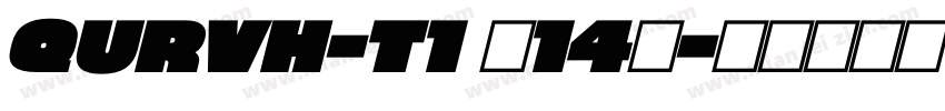 QURVH-T1 (14)字体转换